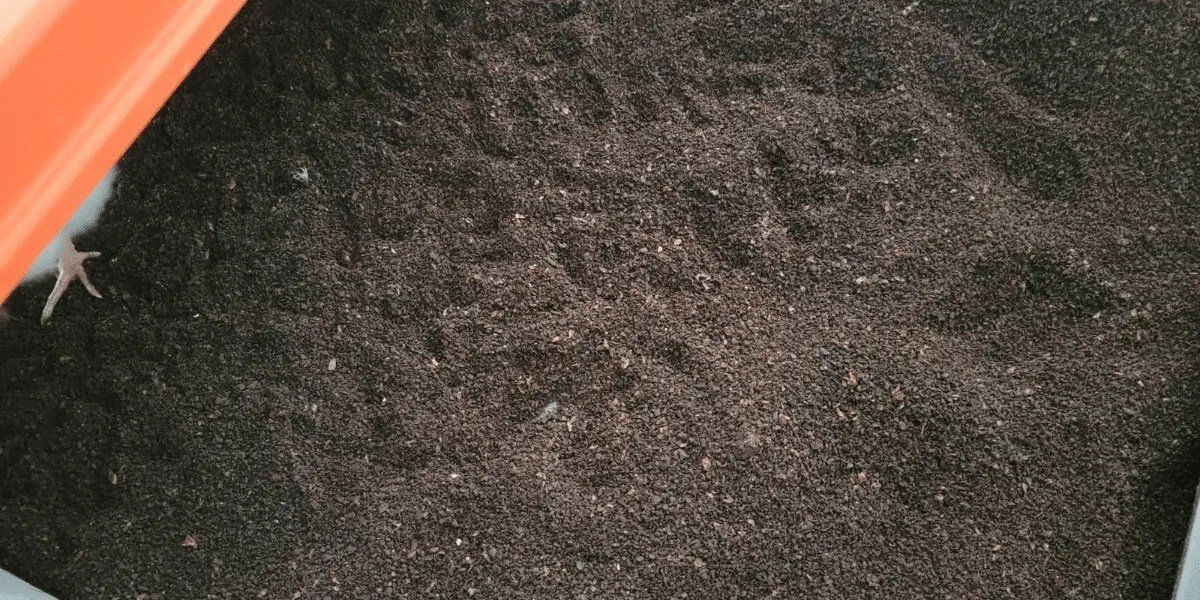 Coffee Husks – Deep Litter Bedding