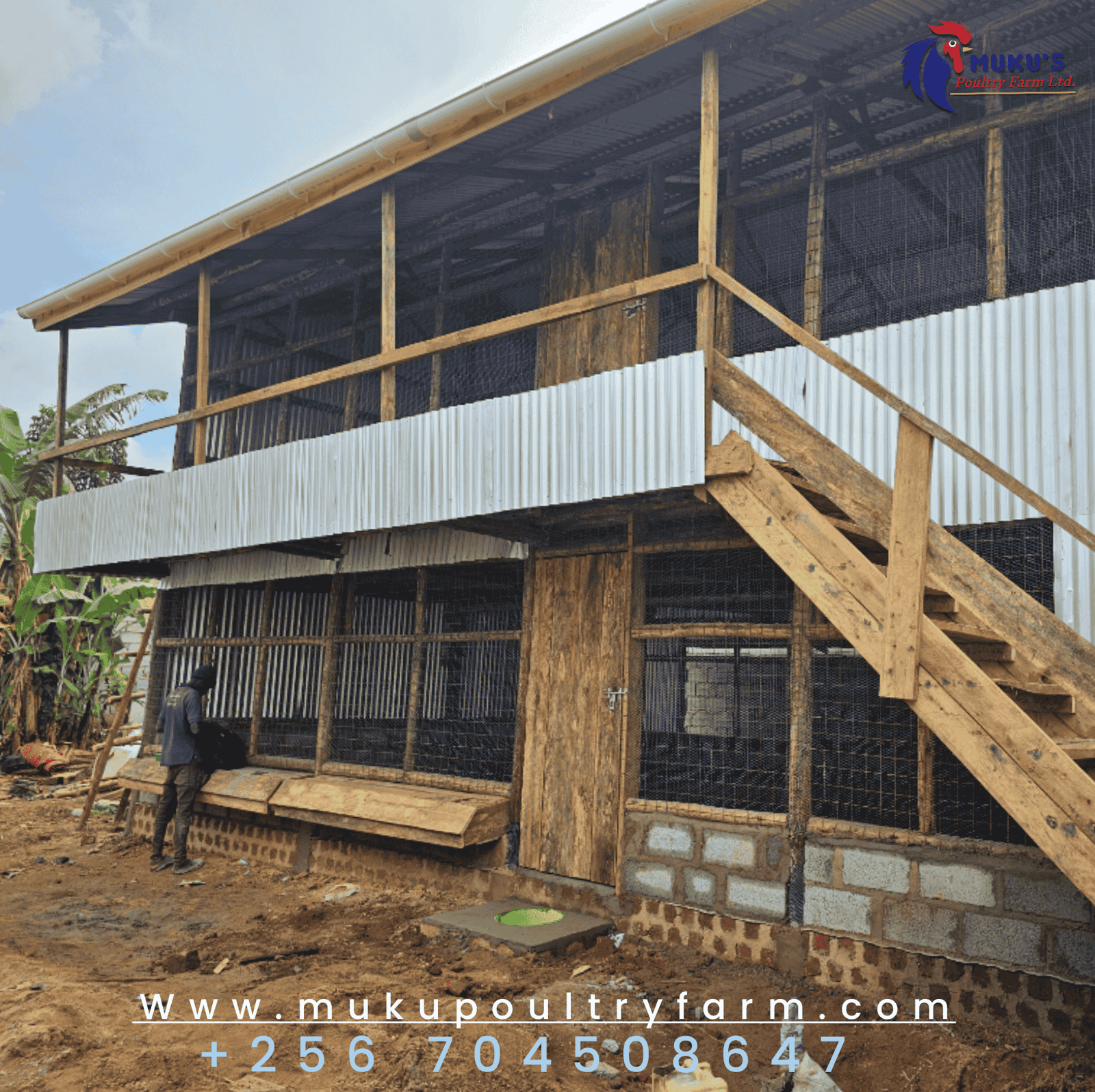 1,000 capacity layer chicken coop