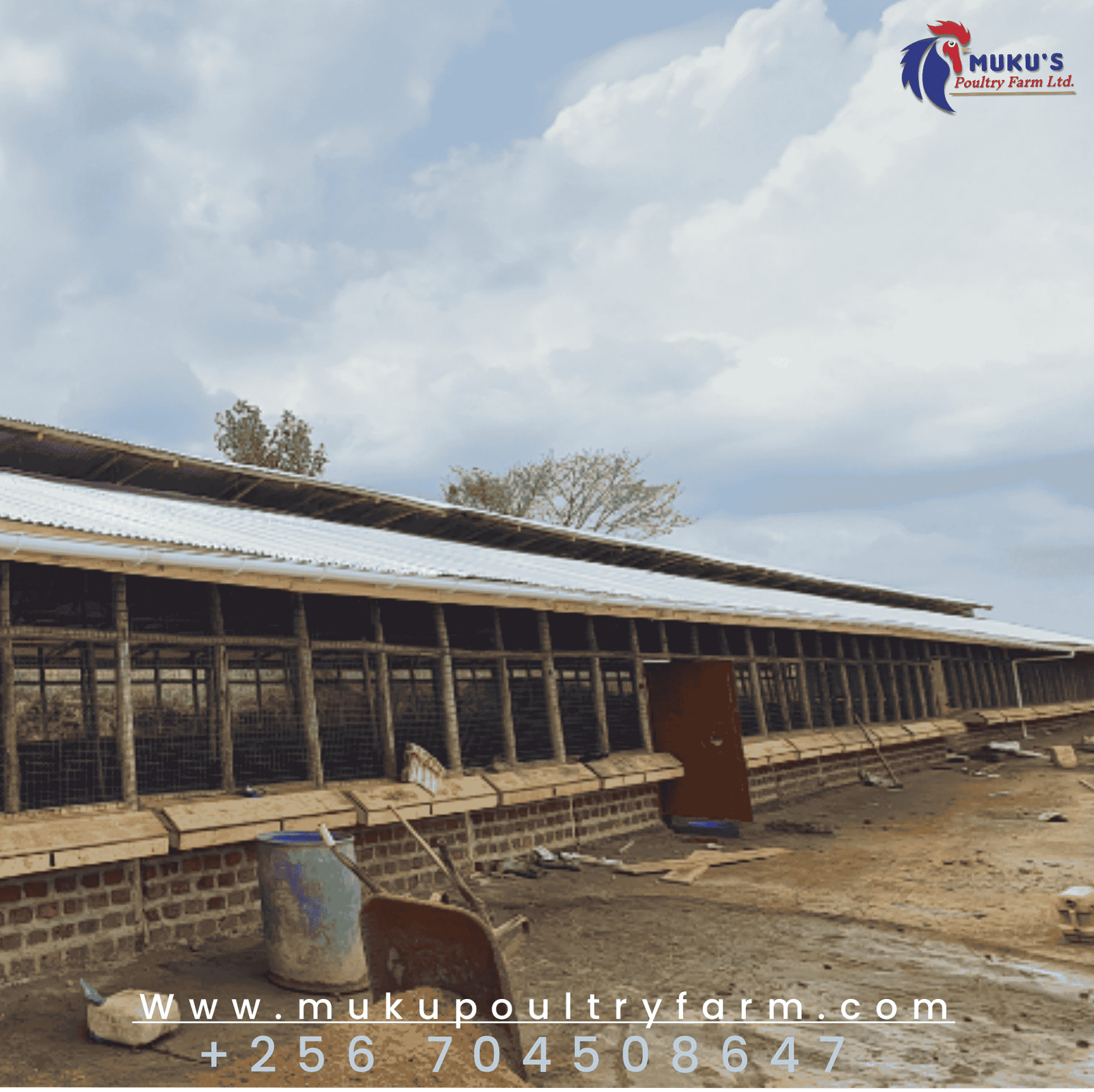 3,000 Capacity layer coop/structure 