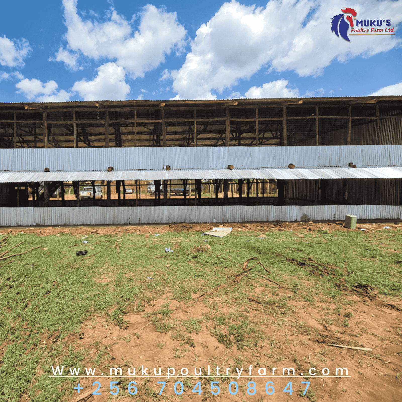 5,000 capacity layer structure/coop