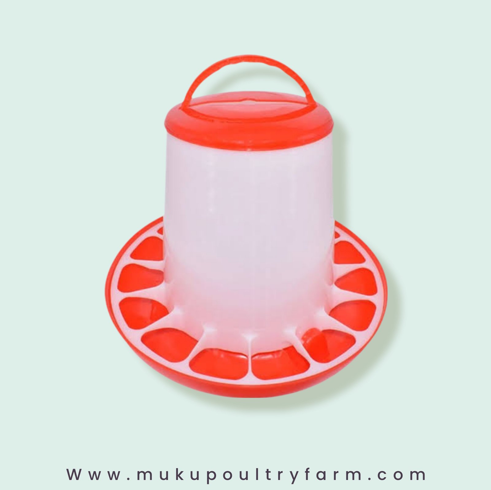 Poultry Feeder